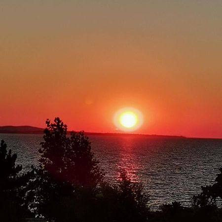 Apartman Zvoncica Vrsi Exteriér fotografie