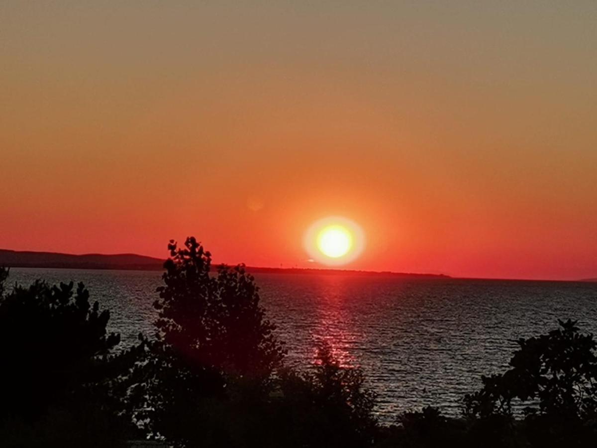 Apartman Zvoncica Vrsi Exteriér fotografie