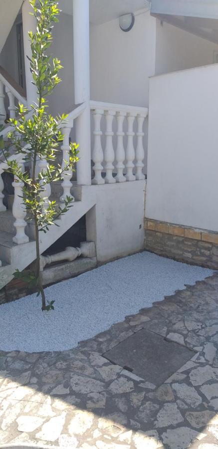 Apartman Zvoncica Vrsi Exteriér fotografie