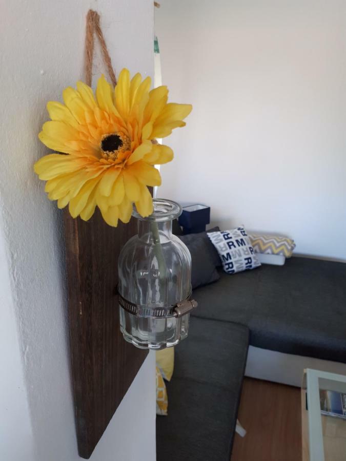 Apartman Zvoncica Vrsi Exteriér fotografie