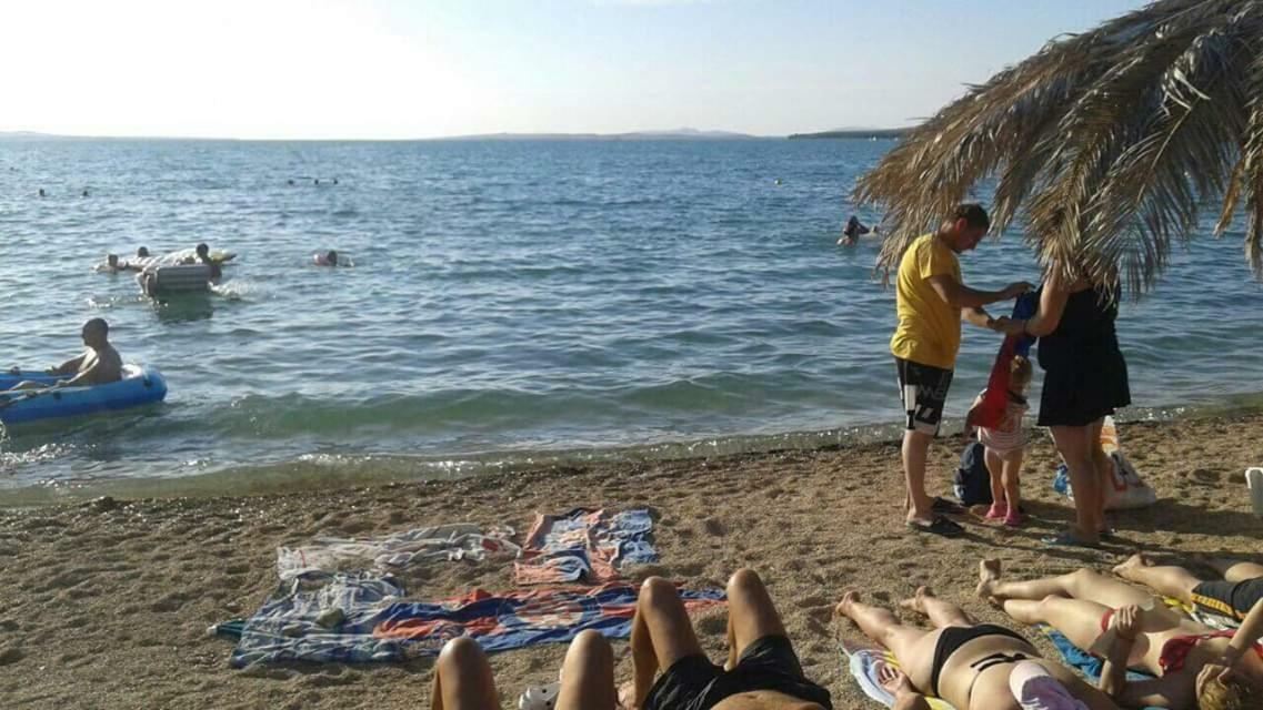 Apartman Zvoncica Vrsi Exteriér fotografie